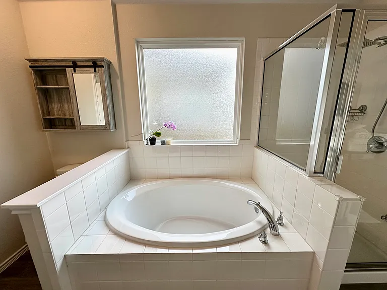 Primary bath and separate shower