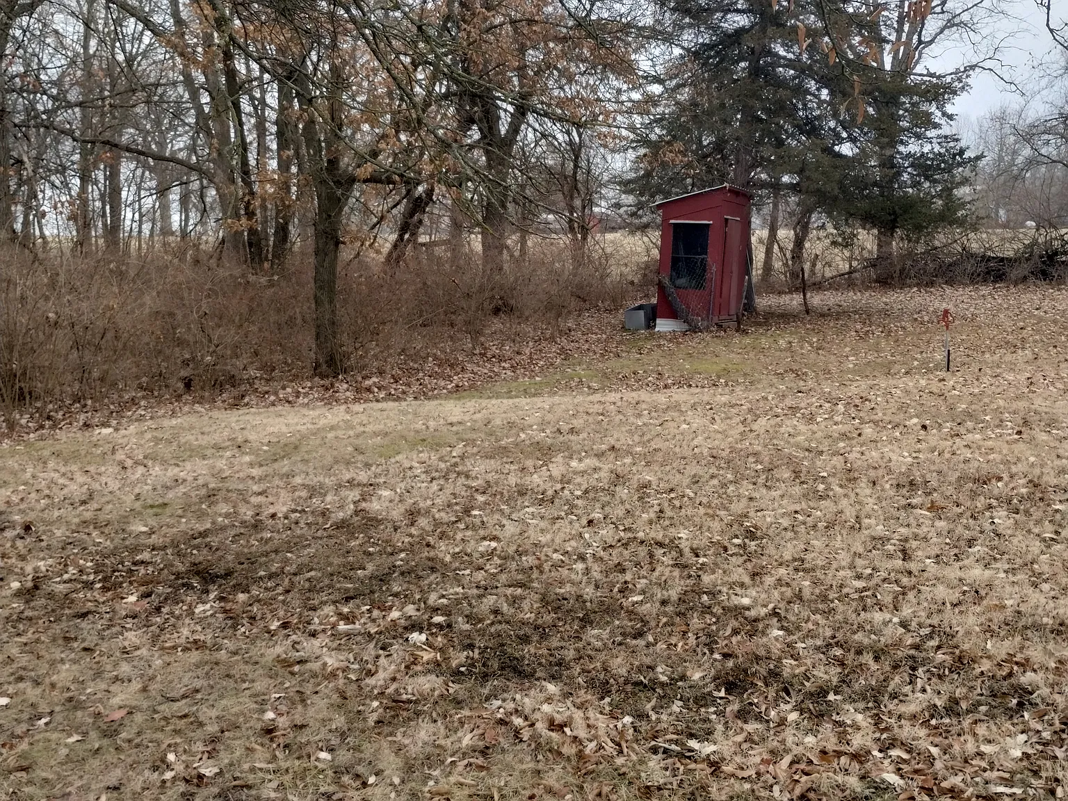 3 bed, 1064 sqft, $800 — Photo 2