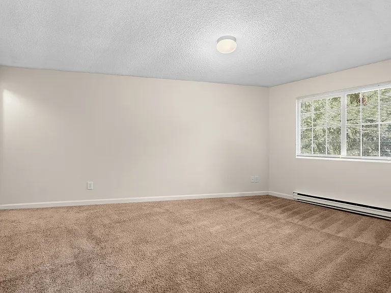 Spacious bedroom with plush carpet and natural light