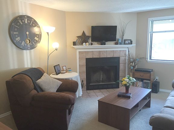 Wood burning fireplace