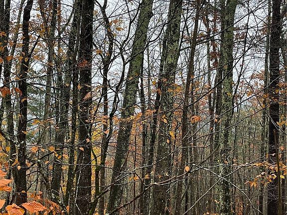 5th image of 16 Silver Mine Rd