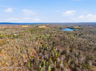 Stony Lonesome Rd, Newfoundland, PA 18445