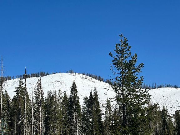 4th image of 7177 Sierra Pines Rd