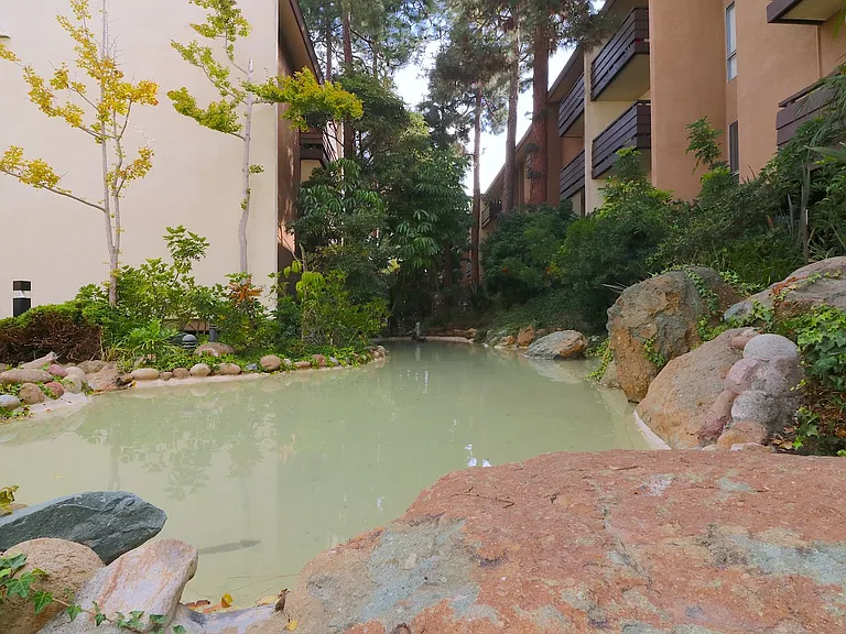 1621 Hotel Cir S #E329 — Photo 27