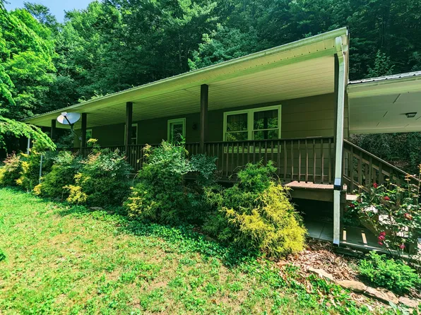 150 Lone Star Rd, Birchleaf, VA 24220