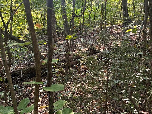 4th image of 1 Crooked Hill Private Dr