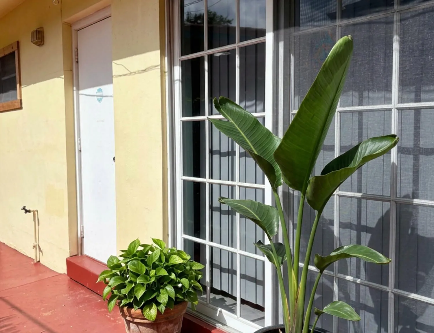 1 bed, 650 sqft, $1,800 — Photo 1