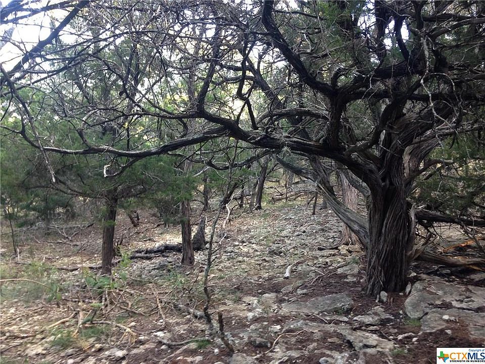 2nd image of 1562 Valley Frst