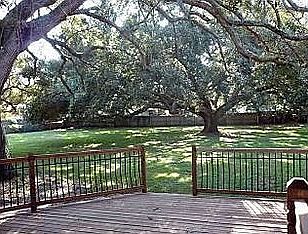 rear yard from deck