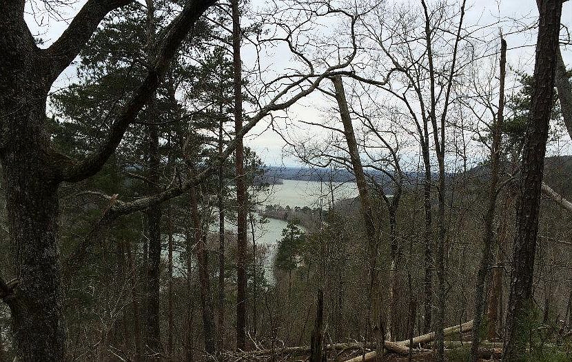 1st image of Highway 136