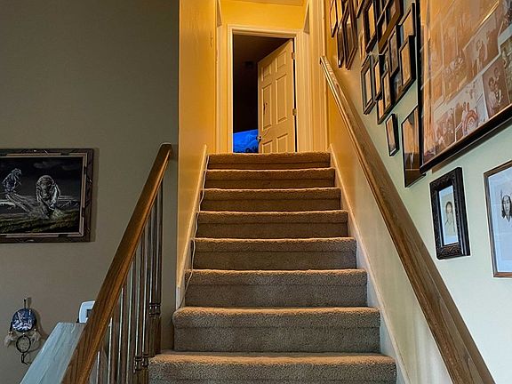 5th image of 1008 Dandelion Dr