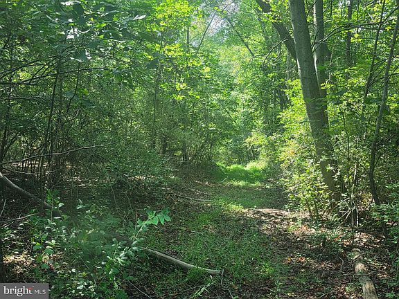 5th image of Terrys Rd Lot 35A