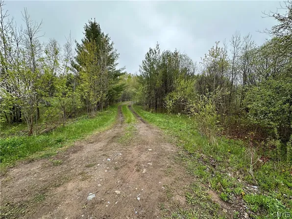 4815 Texas Rd Lot 35, Carthage, NY 13619