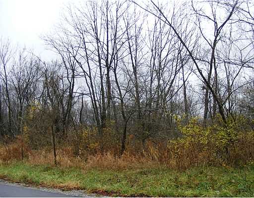 2nd image of Malone Ridge Rd