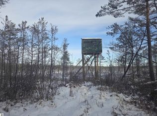 0 S Barlow Rd, Greenbush, MI 48738