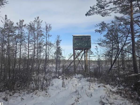 0 S Barlow Rd, Greenbush, MI 48738