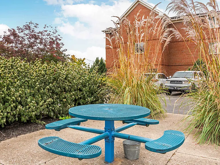 Picnic Area