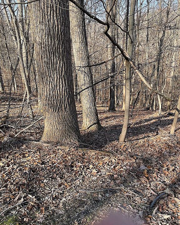 2nd image of 18 Shaded Glen Ct
