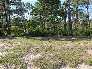 1st image of 424 Royal Tern Way