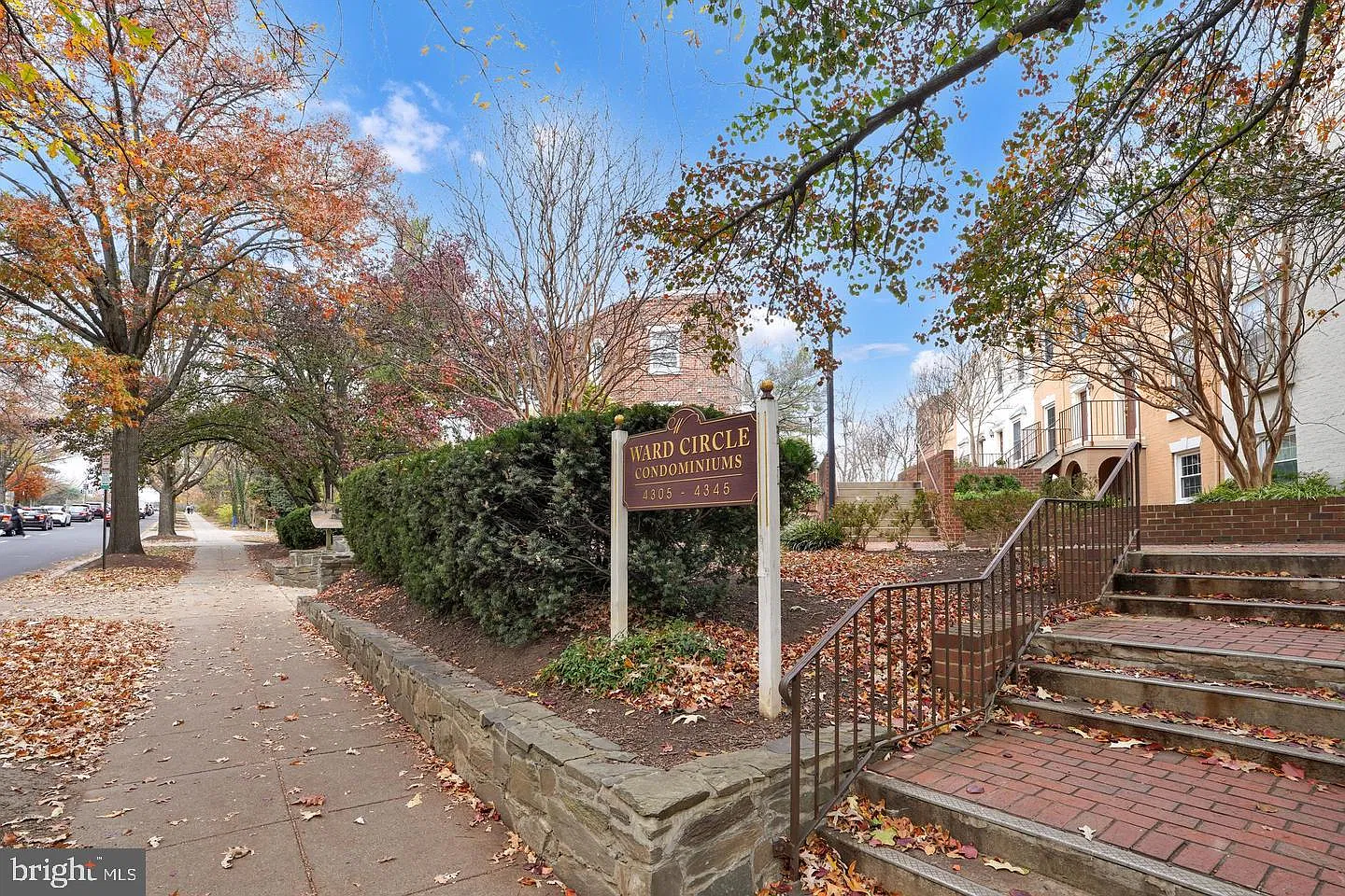 Mass Mews — Photo 2