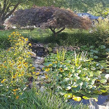 Ornamental Pond - front