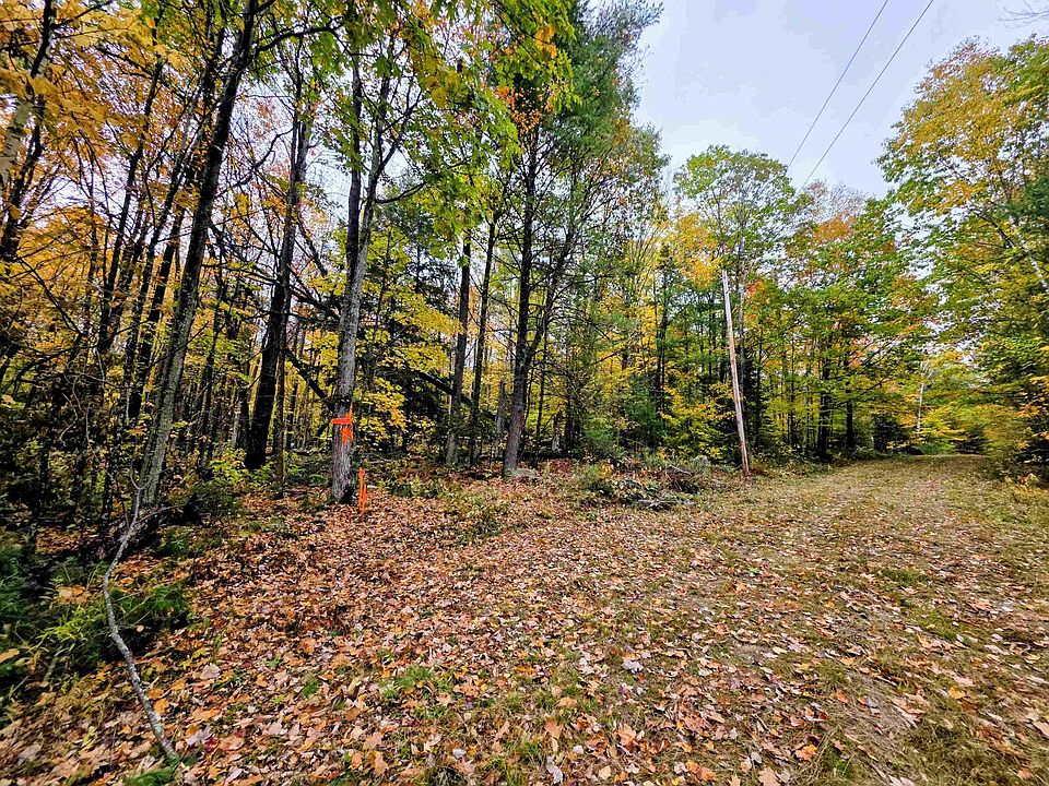 1st image of Blue Trail
