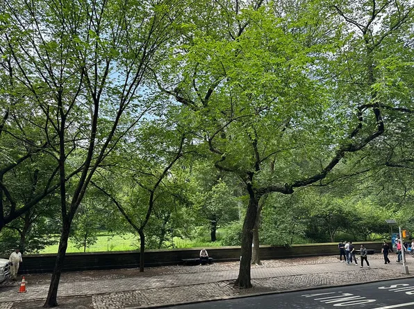 965 5th Ave APT 2B, New York, NY 10075