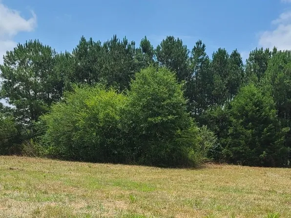 0 Saint Michael Way, Hanceville, AL 35077