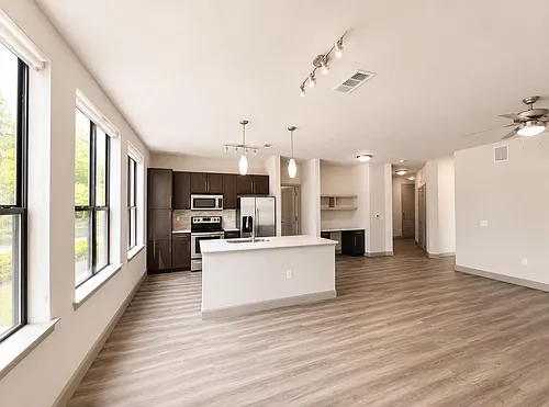 3788 Richmond Ave #1433 Photo 1