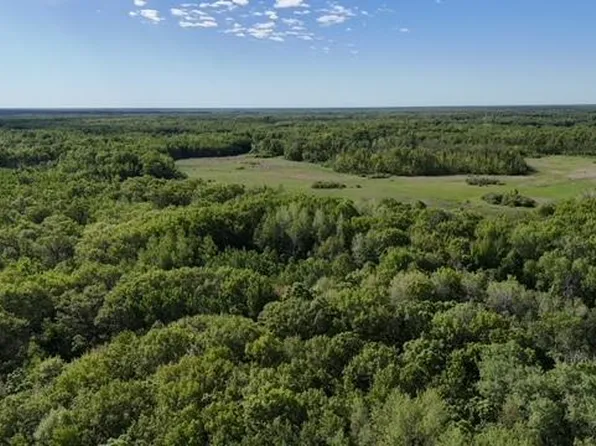 415th Ave, Hillman, MN 56338