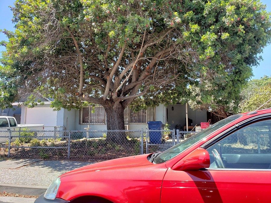 1st image of 6207 Noel Ave