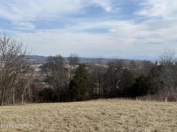 2826 Homestead Dr Lot 11, White Pine, TN 37890