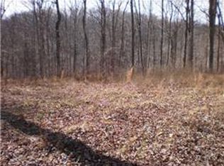 1240 Duffer Hollow Rd, Bethpage, TN 37022