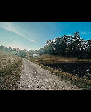 2nd image of 174 Roy Ln