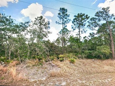 1129 Marabella Rd Lot 2, Lake Placid, FL, 33852