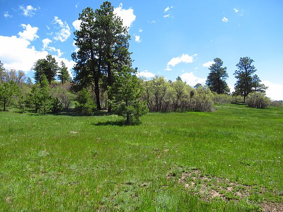 3rd image of 1260 Hills Cir