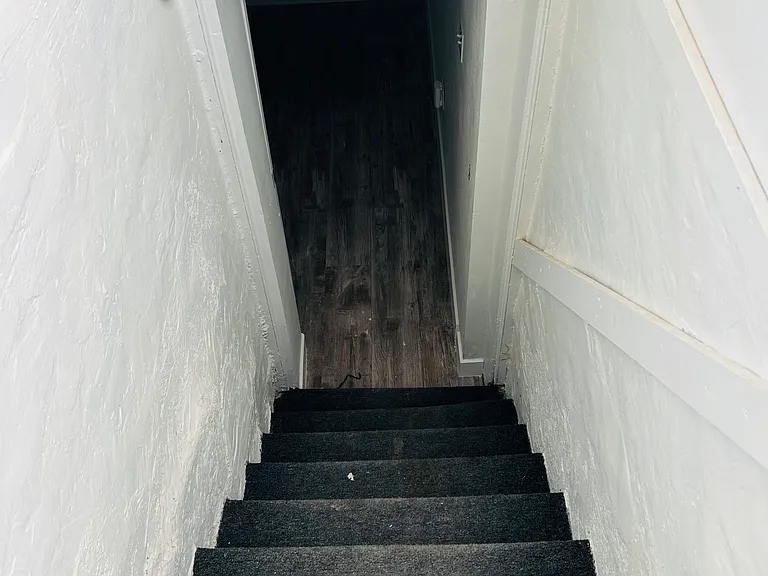 Basement, accessed from pantry off back of kitchen. Separate entrance from backyard