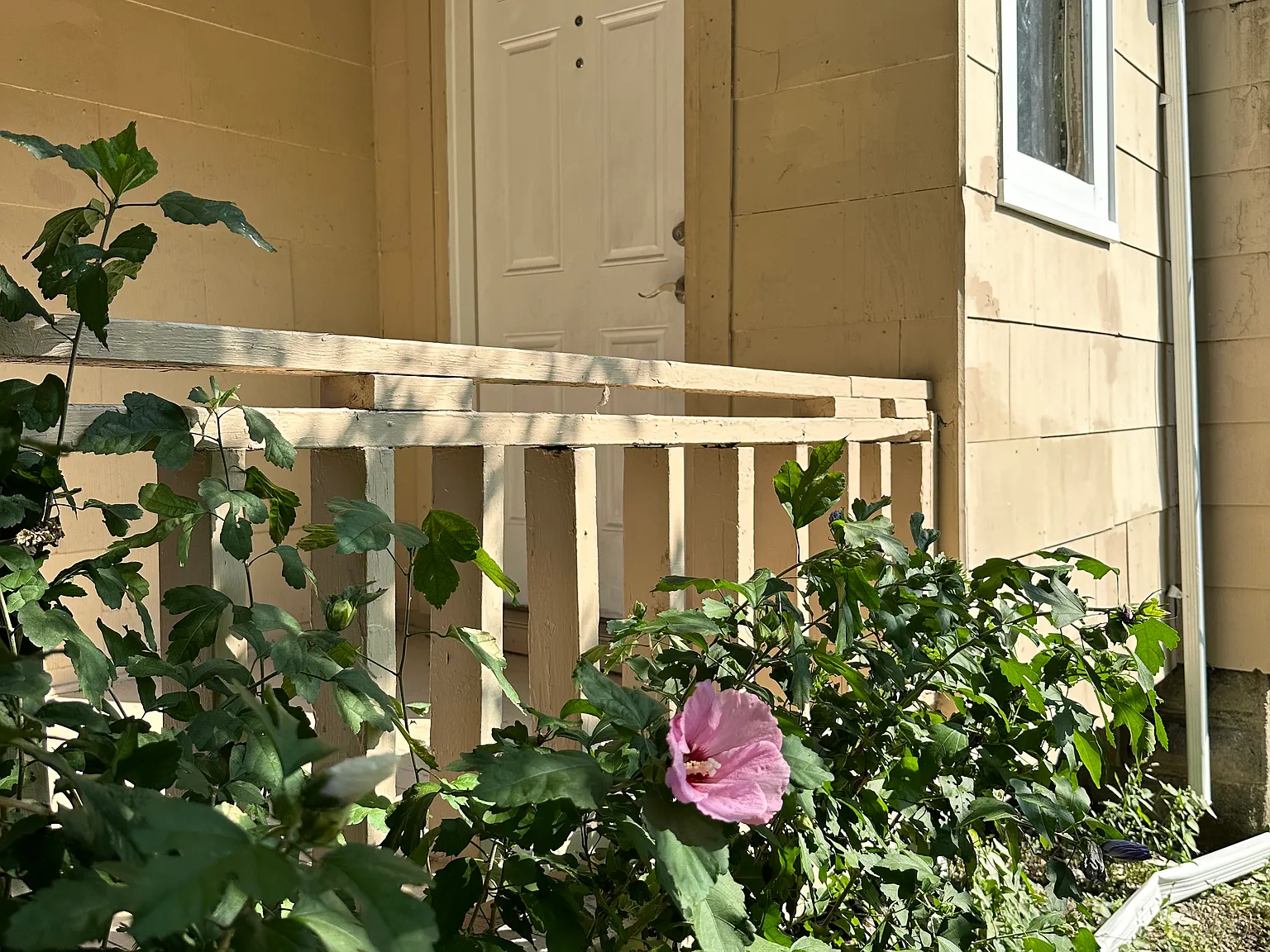 1224 Clinton Ave — Photo 2