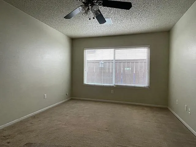 8575 Hydra Ln — Photo 11