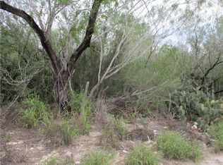 217 N Charco Blanco Rd, Rio Grande City, TX 78582