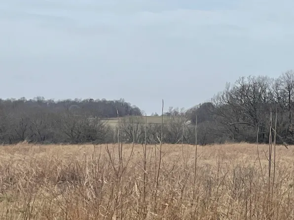 000 Mcdonald Road, Stella, MO 64867