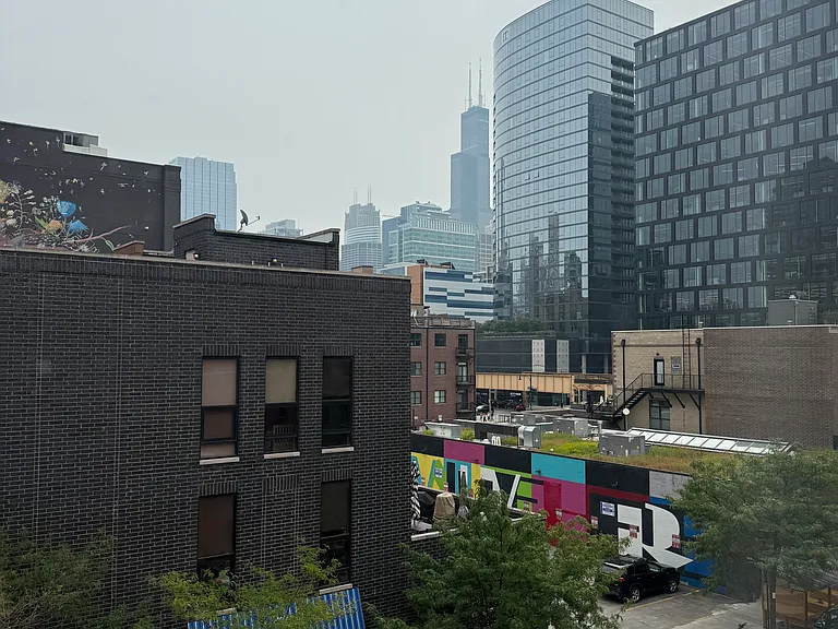 833-845 W Fulton Market #314 — Photo 12