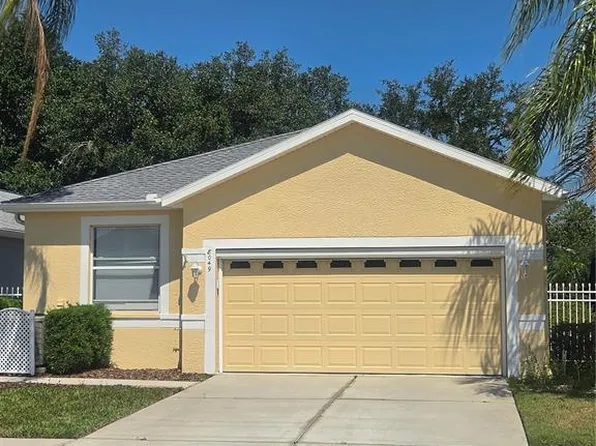 8049 Sanguinelli Rd, Land O Lakes, FL 34637