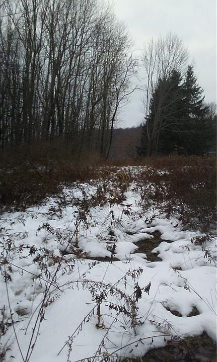 2nd image of 44 Gaf Lake Rd
