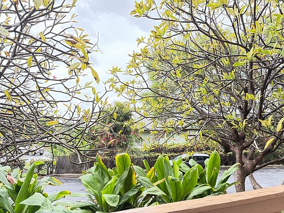 3rd image of 84-664 Ala Mahiku St APT 185A