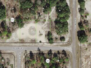 6728 N Roland Dr, Citrus Springs, FL 34433