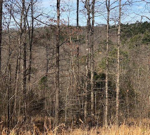 3rd image of County Road 501