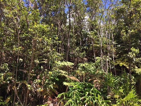 4th image of Kamakahala St Lot 8753