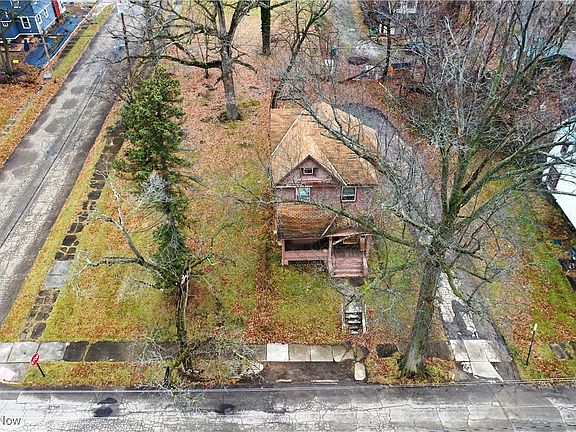 5th image of 62 Baldwin St