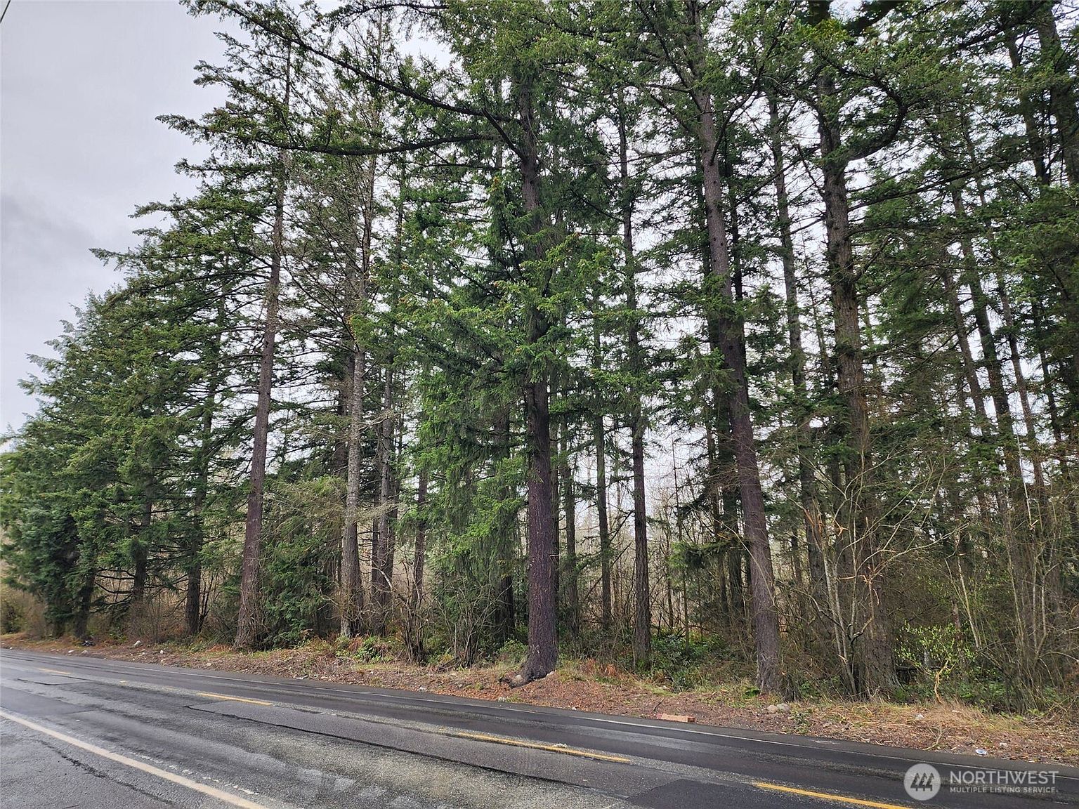 0 126th Avenue E, Graham, WA 98338 | MLS #2354947 | Zillow